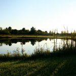 retreat-pond